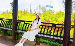 老阿姨哔哩哔哩B站肉片茄子芒果